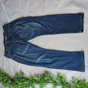 Citizens Of Humanity Dark Blue Jeans